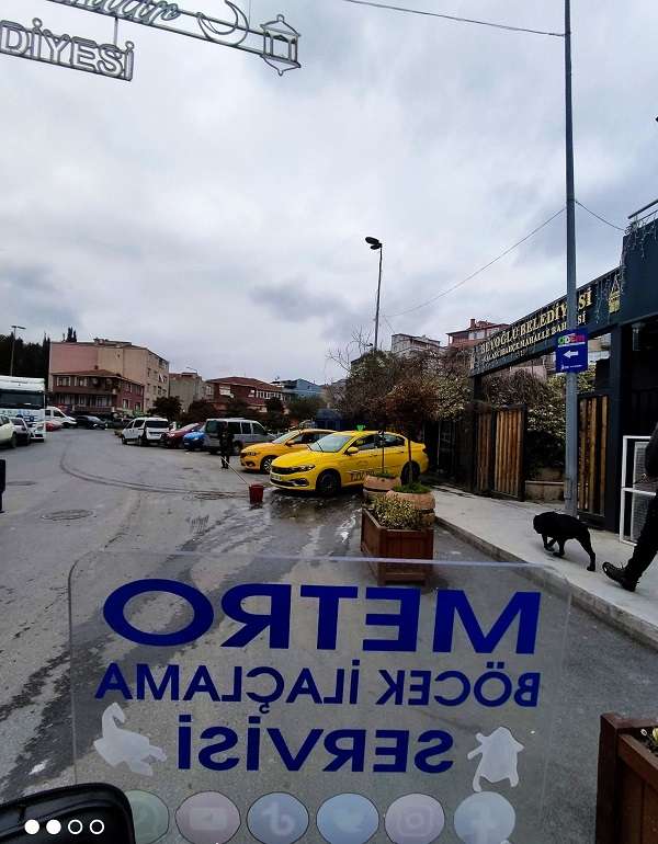 Beyoğlu Böcek İlaçlama ve Haşere Kontrol Servisi